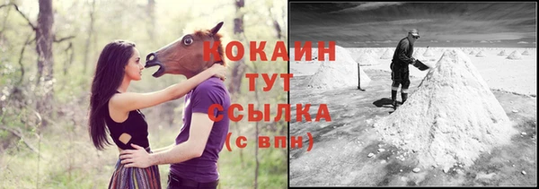 MESCALINE Гусев