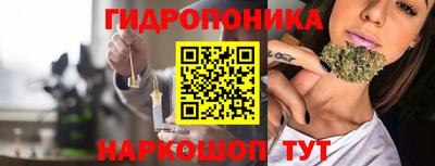 apvp Кунгур