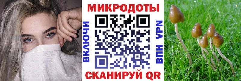 Псилоцибиновые грибы Psilocybine cubensis  Ирбит 